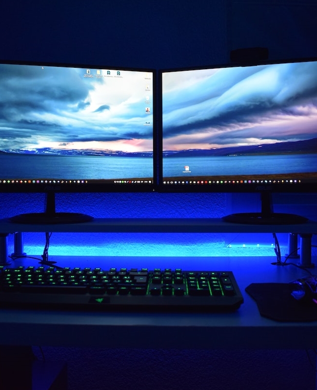 Auction Website Hosting